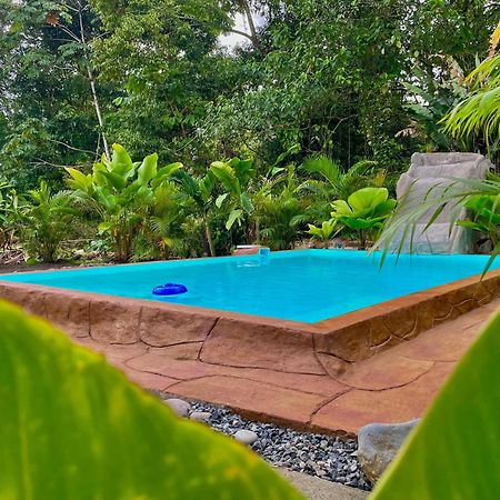 Iki Volcan Arenal With Jacuzzy La Fortuna Eksteriør bilde